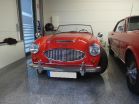 Austin Healey 3000 Bild1.jpg